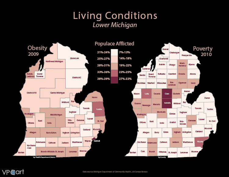 living_conditions_lower_michigan